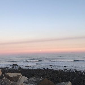 Meet your Posher, Ella